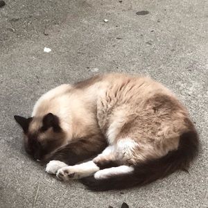 Meet your Posher, Fiona